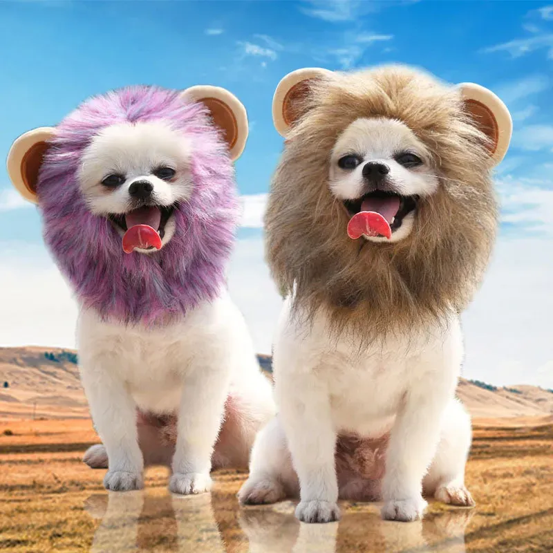 pet funny lion headwear