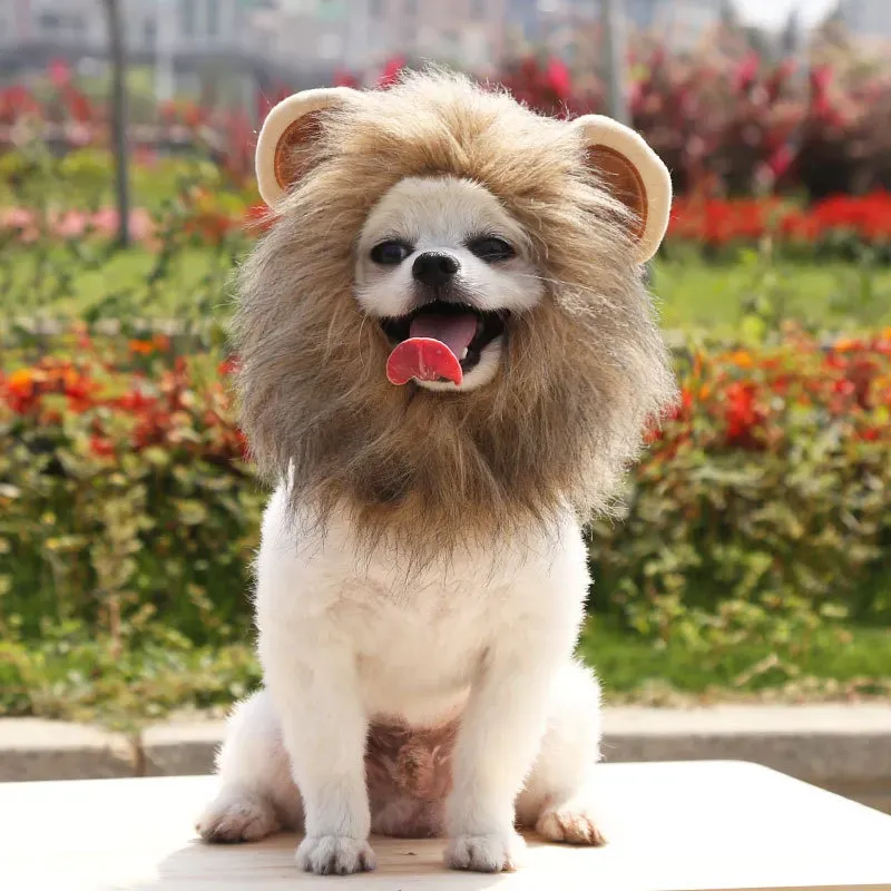 pet funny lion headwear