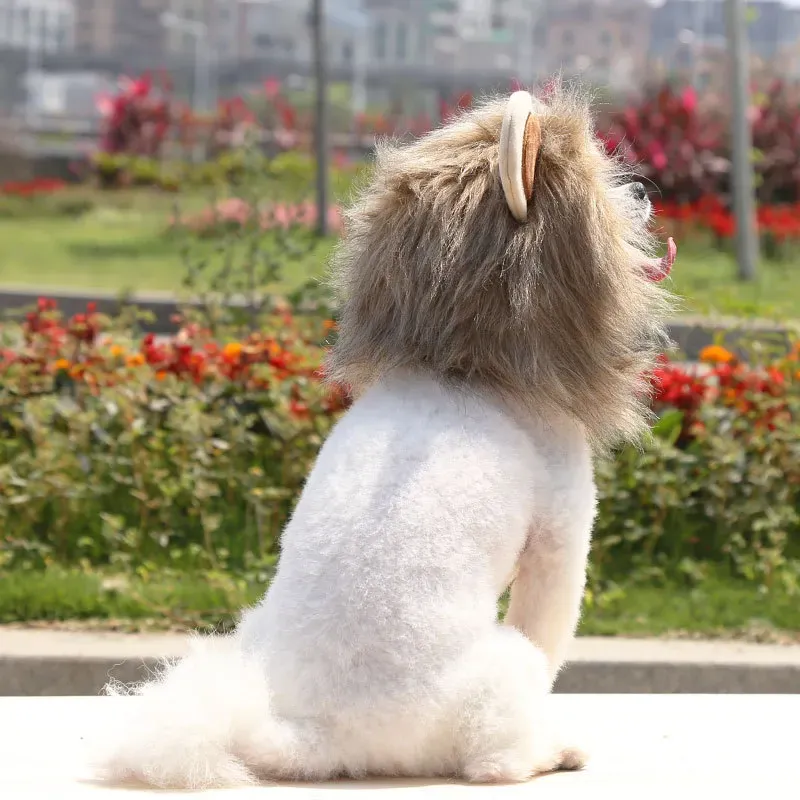 pet funny lion headwear