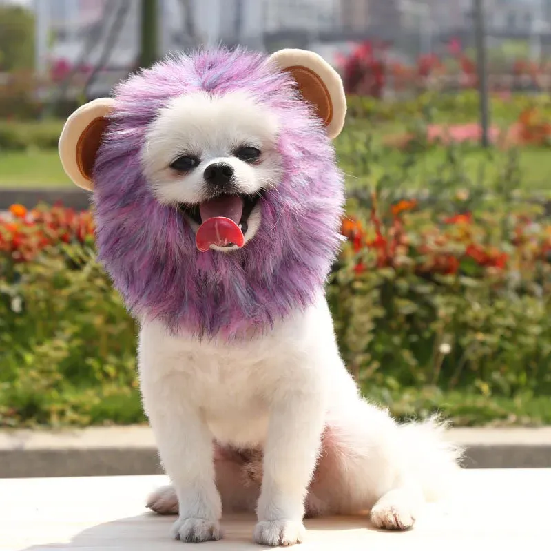 pet funny lion headwear