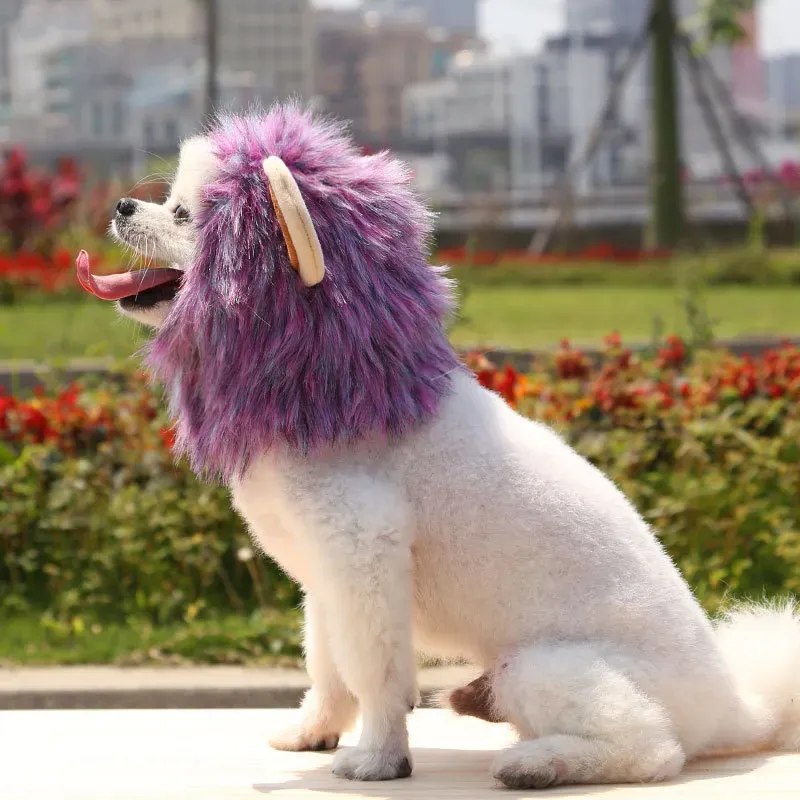 pet funny lion headwear