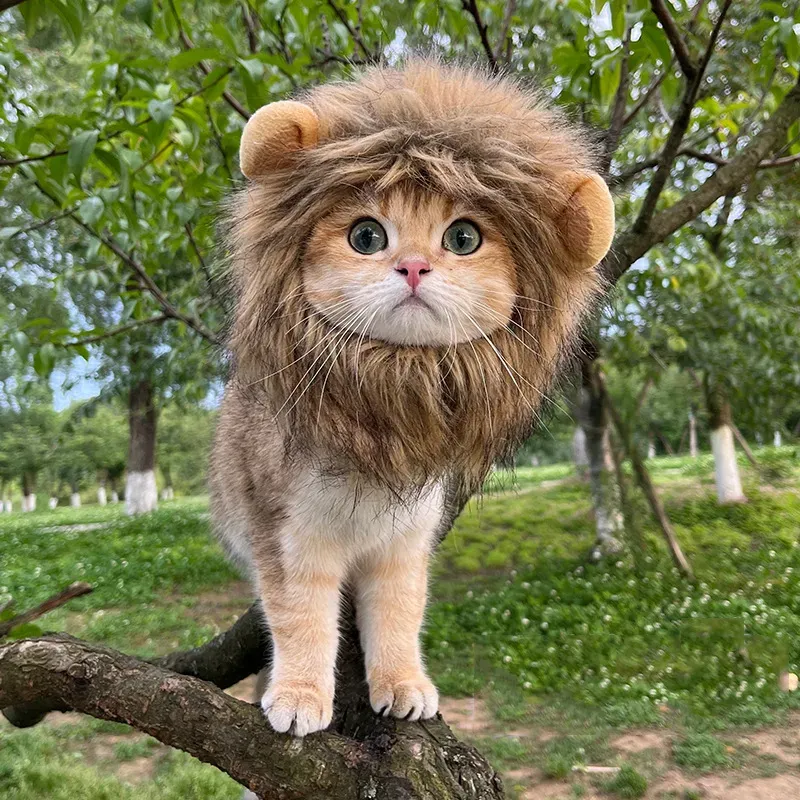 pet funny lion headwear