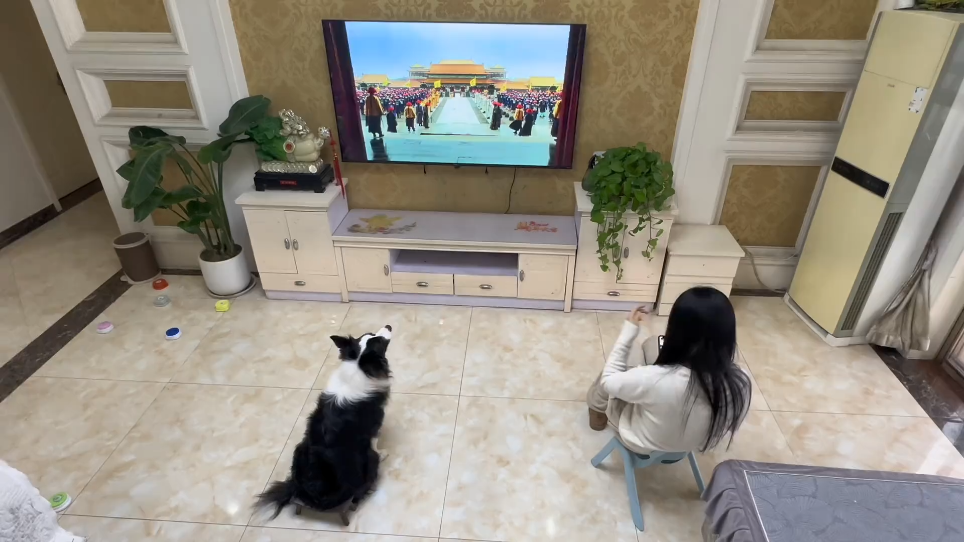 Why did you kneel down while watching TV? ? 😂