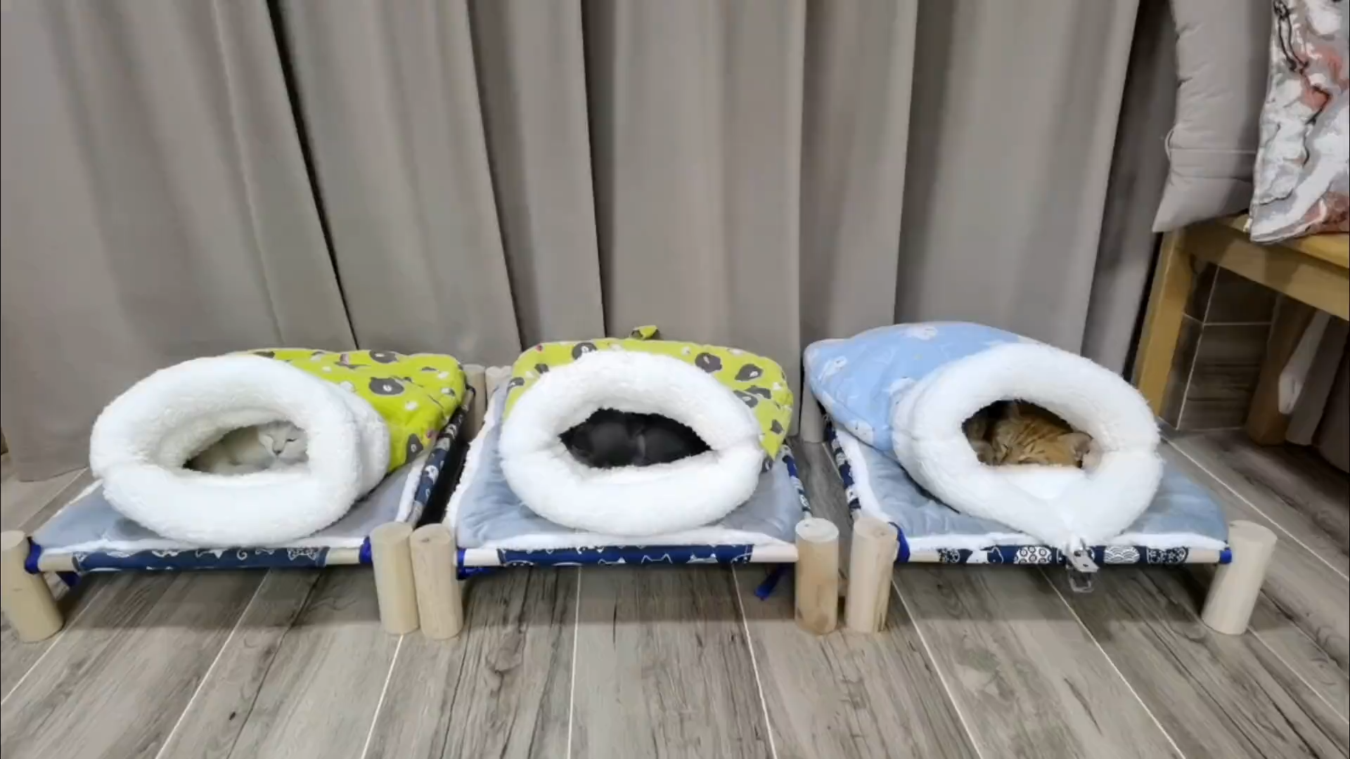 time to sleep