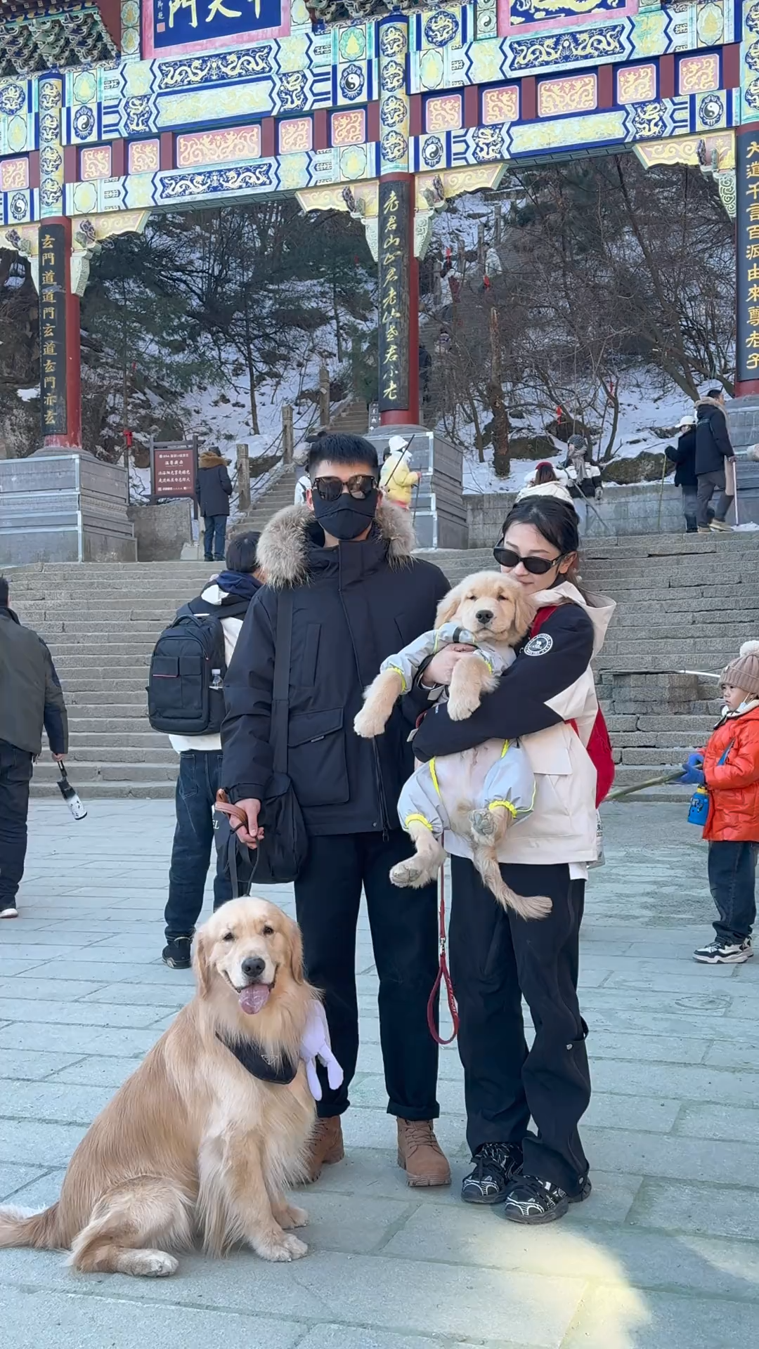 Going up the mountain with two dogs